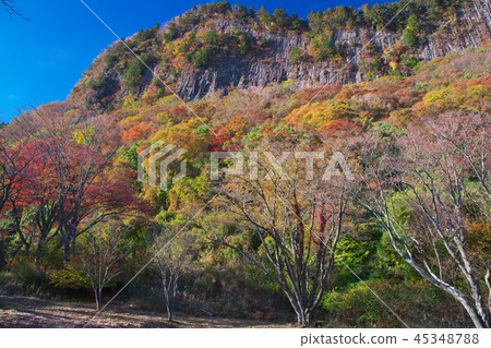 Kofuiwa Iwakoen秋葉在藍天下被太陽照亮。 Kofuiwa Iwakoen秋葉在藍天下被太陽照亮。 45348788