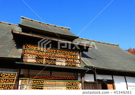 甘藷（rokoro）和老民居 45349261