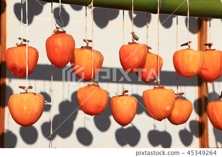 甘藷（rokoro）和老民居 45349264