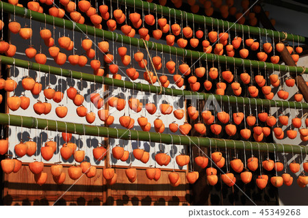 甘藷（rokoro）和老民居 45349268