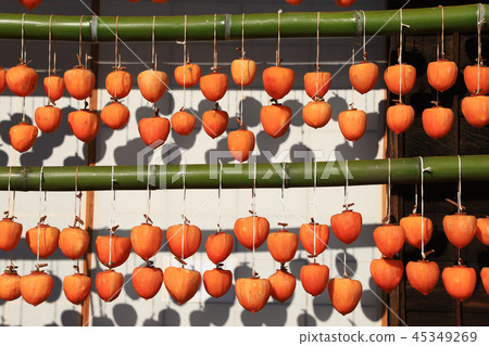 甘藷（rokoro）和老民居 45349269