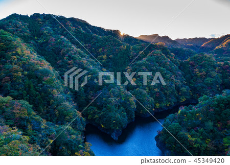 (Ibaraki Prefecture) Autumn leaves from Ryushinkyo, a large suspension bridge 45349420