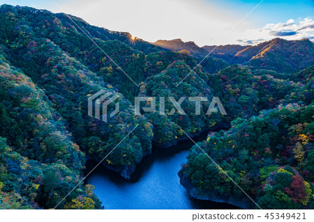 (Ibaraki Prefecture) Autumn leaves from Ryushinkyo, a large suspension bridge (Ibaraki Prefecture) Autumn leaves from Ryushinkyo, a large suspension bridge 45349421