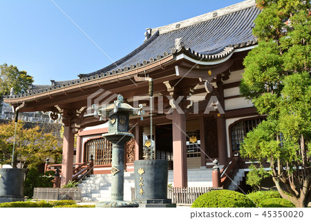 橫濱·Honka-ji 橫濱·Honka-ji 45350020