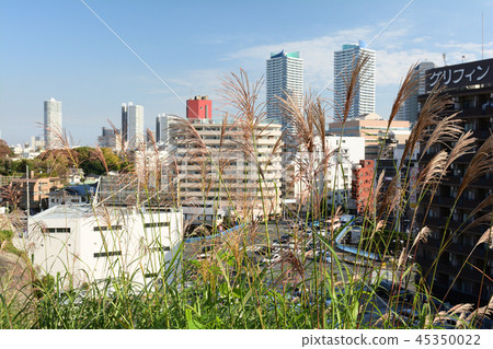Yokohama · Takashimadai Yokohama · Takashimadai 45350022