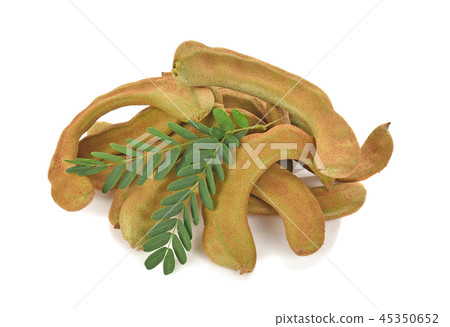 young Tamarind isolated on white background young Tamarind isolated on white background 45350652