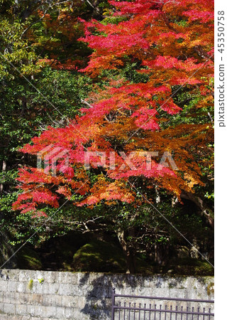 大久保寺 45350758