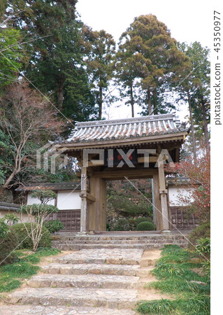 Ryuzenji Daimon 45350977