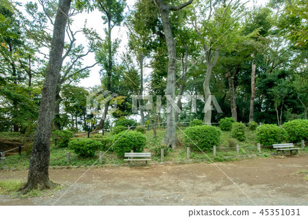 Setagaya Ward Setagaya Castle Park Setagaya Ward Setagaya Castle Park 45351031