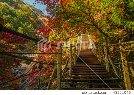 Oyanagawa Valley秋葉 Oyanagawa Valley秋葉 45351046