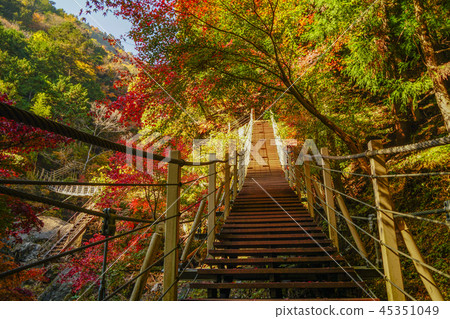 Oyanagawa Valley秋葉 Oyanagawa Valley秋葉 45351049