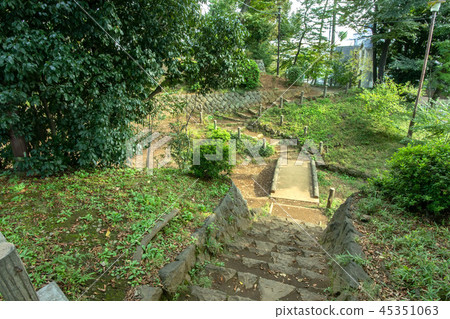 世田谷區世田谷城堡公園 世田谷區世田谷城堡公園 45351063