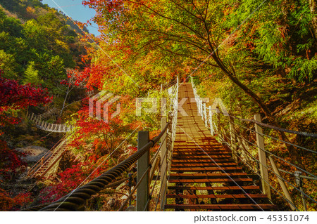 Oyanagawa Valley秋葉 Oyanagawa Valley秋葉 45351074