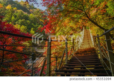 Oyanagawa Valley Autumn leaves Oyanagawa Valley Autumn leaves 45351094