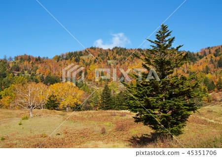 秋葉山田大農場，志賀高原 45351706
