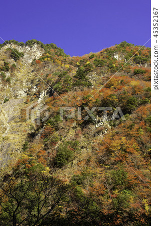 Autumn leaves of Tokushima Ryugatake Autumn leaves of Tokushima Ryugatake 45352167