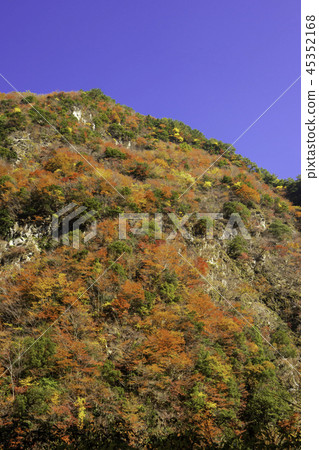 德島Ryugatake秋葉 德島Ryugatake秋葉 45352168