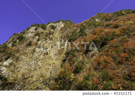 Autumn leaves of Tokushima Ryugatake 45352171