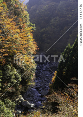 Autumn leaves of Tokushima Ryugatake Autumn leaves of Tokushima Ryugatake 45352210
