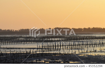 海濱般的Shibata Yu Yutaka Hajime Rei。 45352294