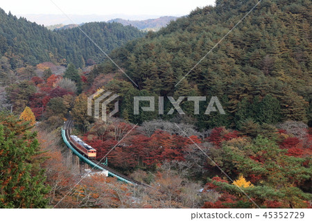 從酵母節公園游來的Mizugori線的非凡列車 45352729