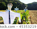 Scarecrow of rice field 45353219