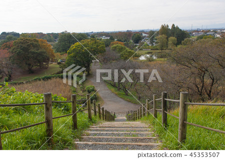 View from the observation station 45353507