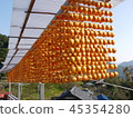 Skewers 45354280