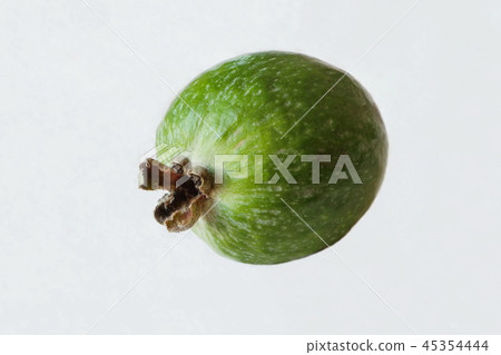 Ripe feijoa on a white background grown Ripe feijoa on a white background grown 45354444