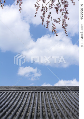 天堂 天空 藍天 45355019