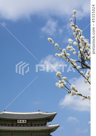 Gwang Wha Moon 45355024