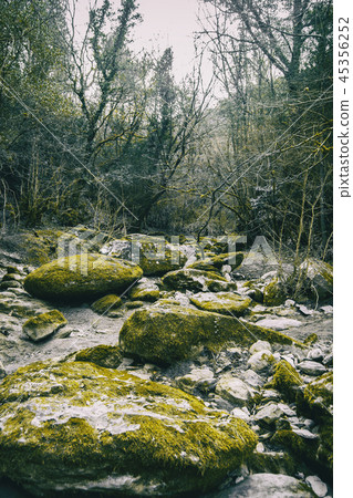 Large stone path with green moss in the middle Large stone path with green moss in the middle 45356252
