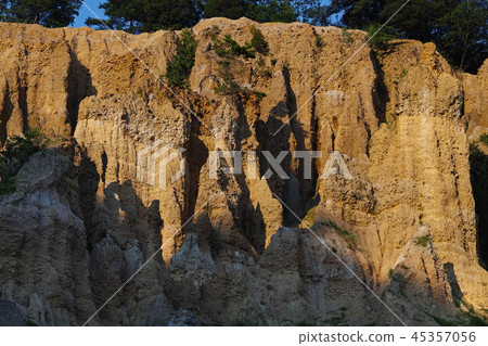 [Tokushima Prefecture] Awa's pillars (the world's three major odds) 45357056