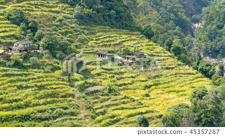 Beautiful view of nature on a trekking trail to the Annapurna base camp, the Himalayas, Nepal 45357287