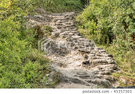 Beautiful view of nature on a trekking trail to the Annapurna base camp, the Himalayas, Nepal 45357303