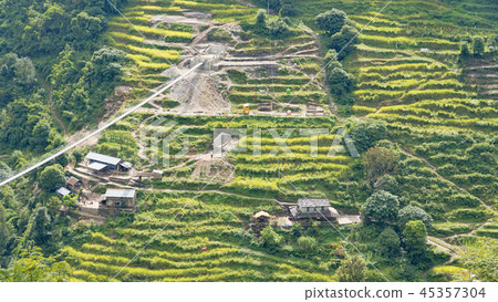 Beautiful view of nature on a trekking trail to the Annapurna base camp, the Himalayas, Nepal 45357304