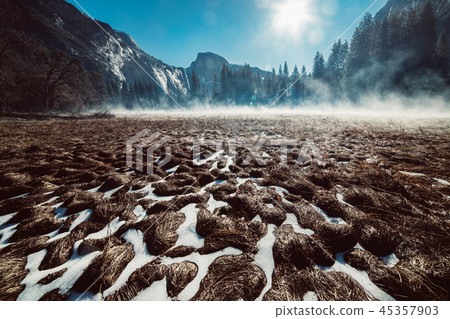 Yosemite national park landscape in the morning 45357903
