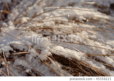Grass under snow 45358221