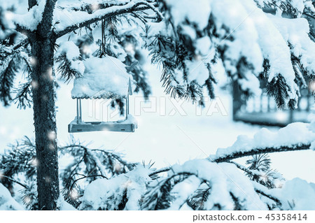 Winter wooden bird feeder close-up green in evergreen coniferous fir branches in a snowy park Winter wooden bird feeder close-up green in evergreen coniferous fir branches in a snowy park 45358414