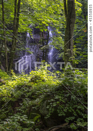 秋田Komagatake Owada河瀑布夏天視圖 秋田Komagatake Owada河瀑布夏天視圖 45358935