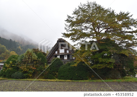 日本建築 日本建築 45358952