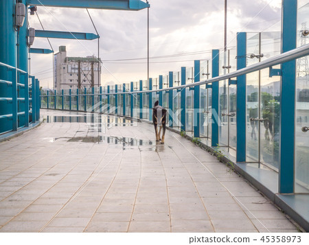 快樂的狗 45358973