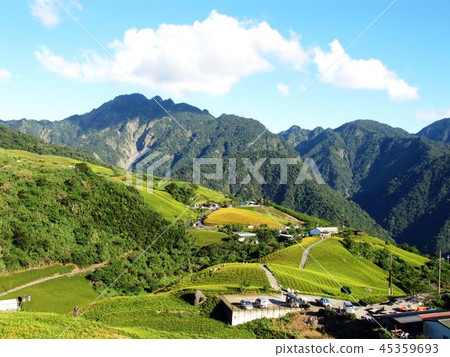 花蓮六十石山 花蓮六十石山 45359693
