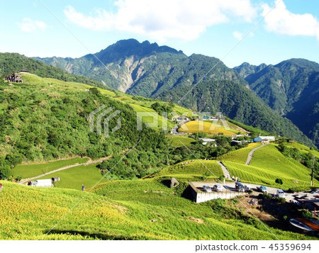 花蓮六十石山 花蓮六十石山 45359694