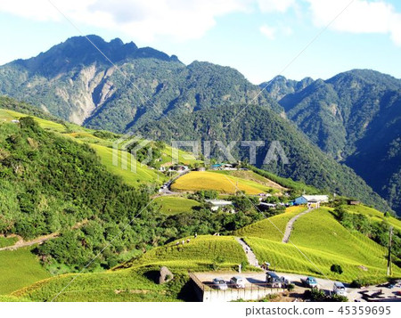 花蓮六十石山 花蓮六十石山 45359695
