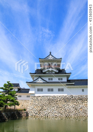 Toyama castle 45360943