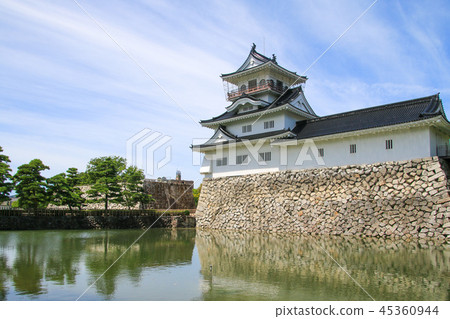 Toyama castle 45360944