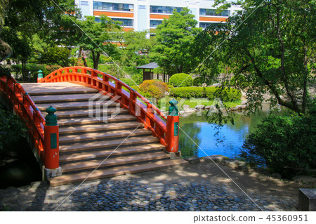 Toyama castle 45360951