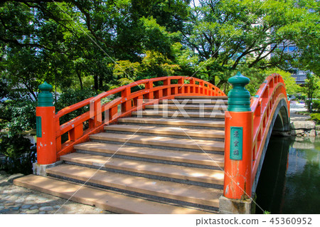 Toyama castle 45360952
