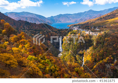“栃木縣”Oku-Nikko和Ake-chihei的秋葉 “栃木縣”Oku-Nikko和Ake-chihei的秋葉 45361875